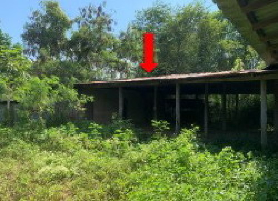 บ้านเดี่ยว เชียงใหม่ ไชยปราการ ปงตำ 1927188