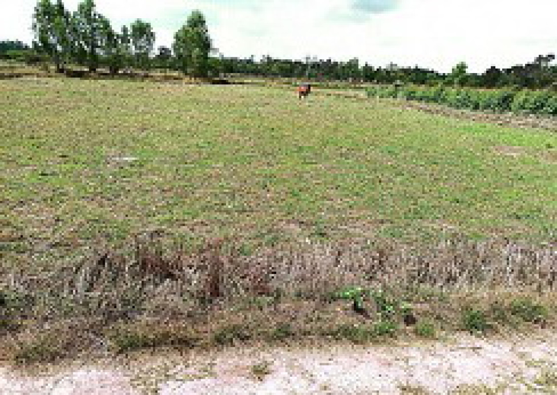 Residential land/lot Amnat Charoen Phana Chan Lan 10500