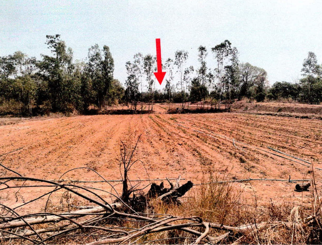 Residential land/lot Amnat Charoen Mueang Amnat Charoen Na Mo Ma 208000
