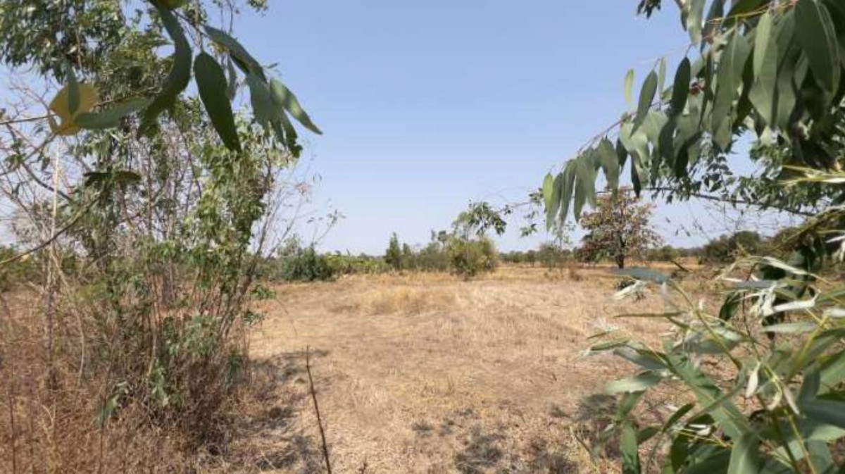 Residential land/lot Amnat Charoen Mueang Amnat Charoen Na Tae 208000
