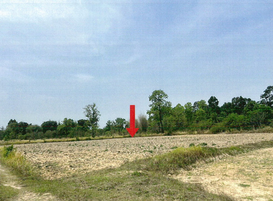 Residential land/lot Amnat Charoen Mueang Amnat Charoen Na Wang 430000