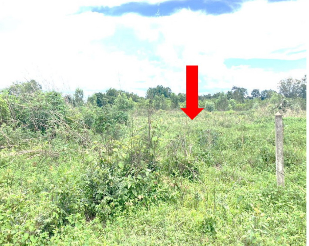 Residential land/lot Ubon Ratchathani Don Mot Daeng Tha Mueang 78750