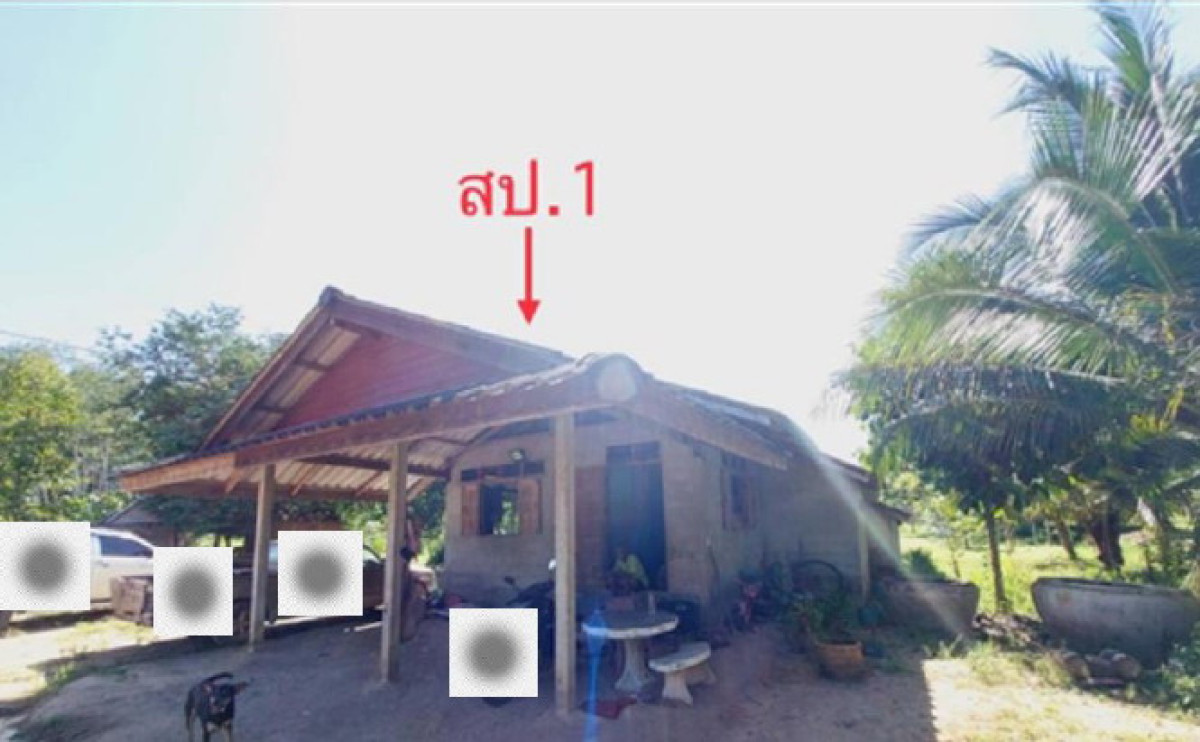 บ้านเดี่ยว สุราษฎร์ธานี คีรีรัฐนิคม ท่าขนอน 1326839