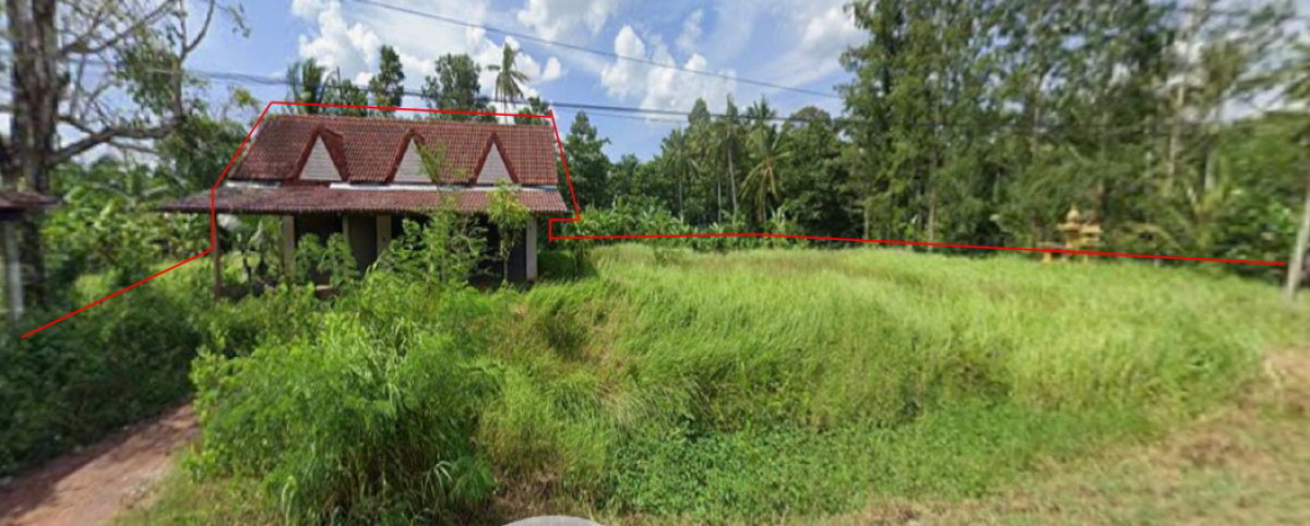 บ้านเดี่ยว สุราษฎร์ธานี กาญจนดิษฐ์ ทุ่งกง 1956540