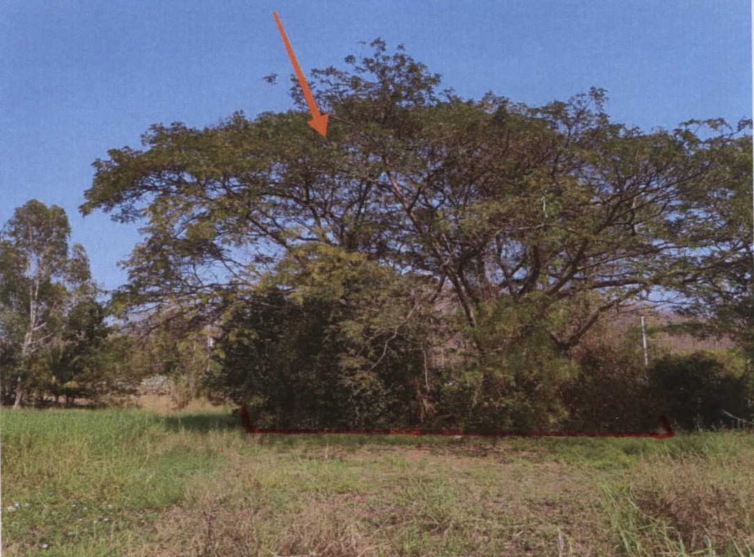 Residential land/lot Phichit Mueang Phichit Dong Pa Kham 54950