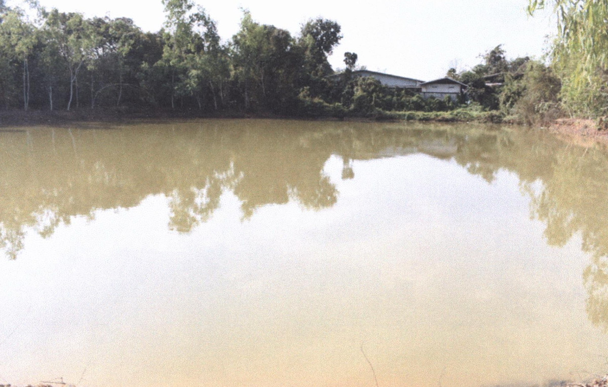 Residential land/lot Phrae Mueang Phrae Mae Lai 98995