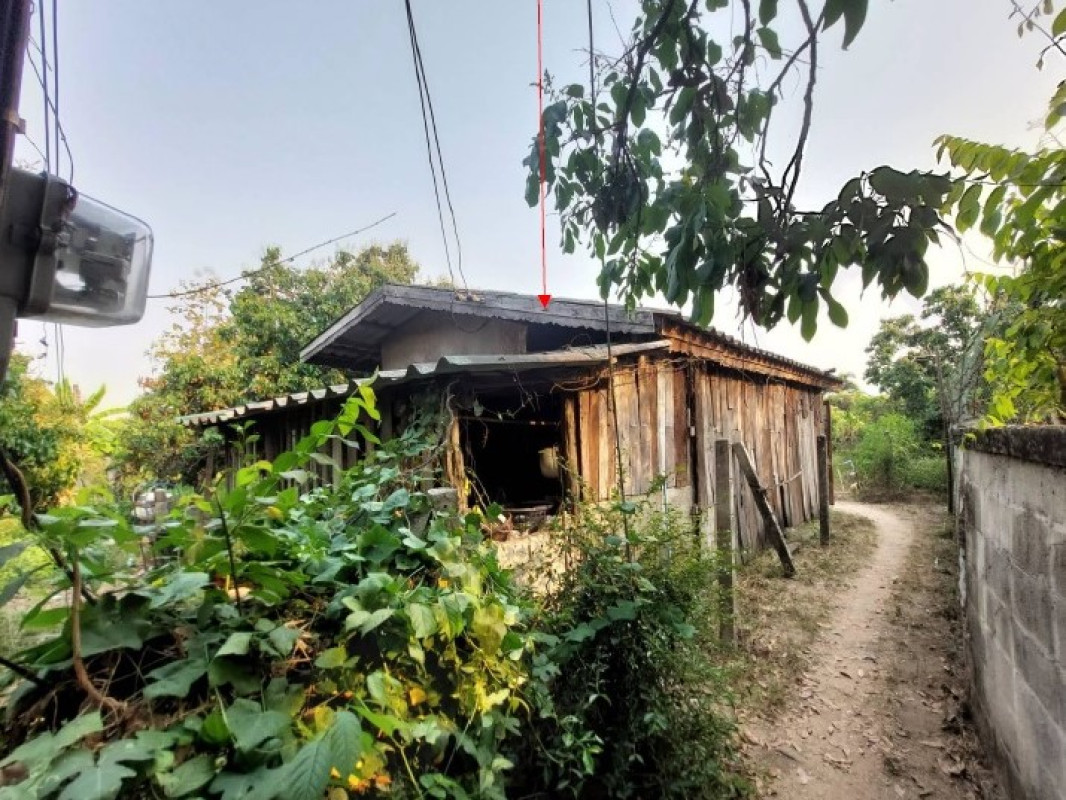 Single house Lamphun Pa Sang Mae Raeng 199260