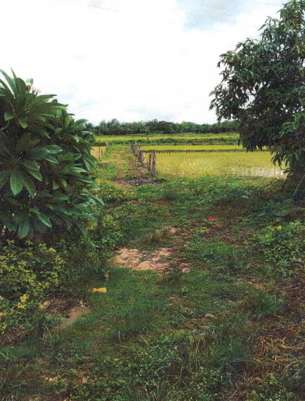 Single house Lampang Mae Tha Hua Suea 386880