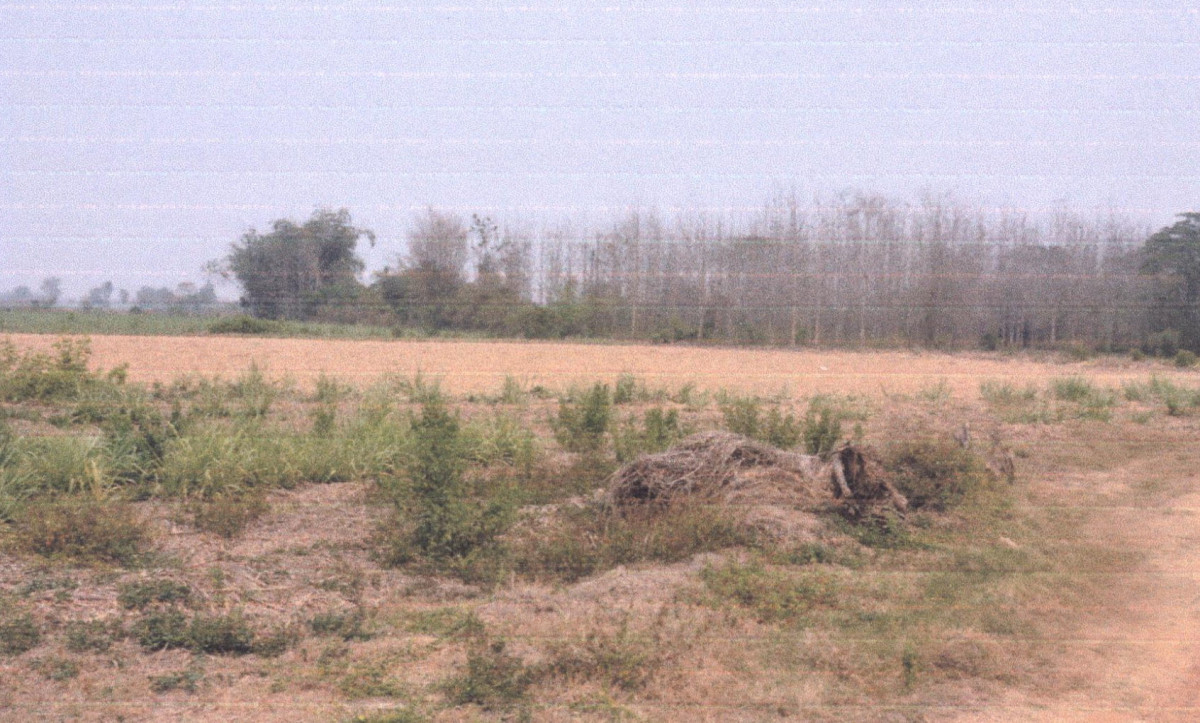 Residential land/lot Phrae Mueang Phrae Mueang Mo 36000