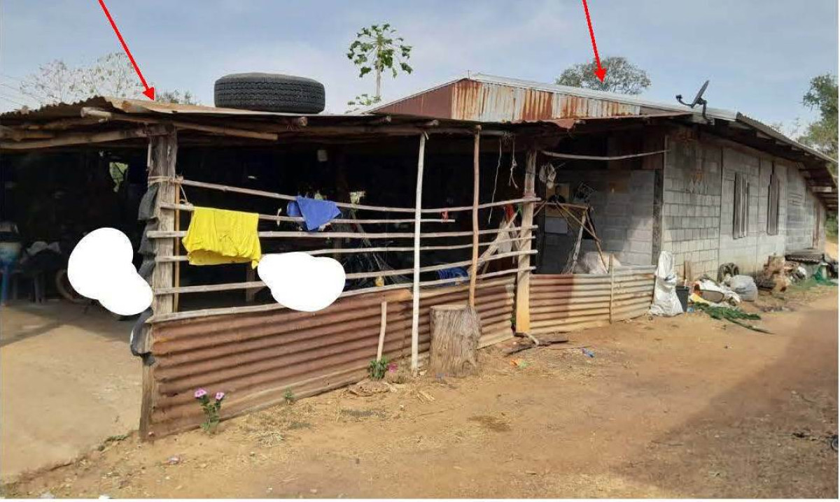Single house Phetchabun Nong Phai Bo Thai 1130640
