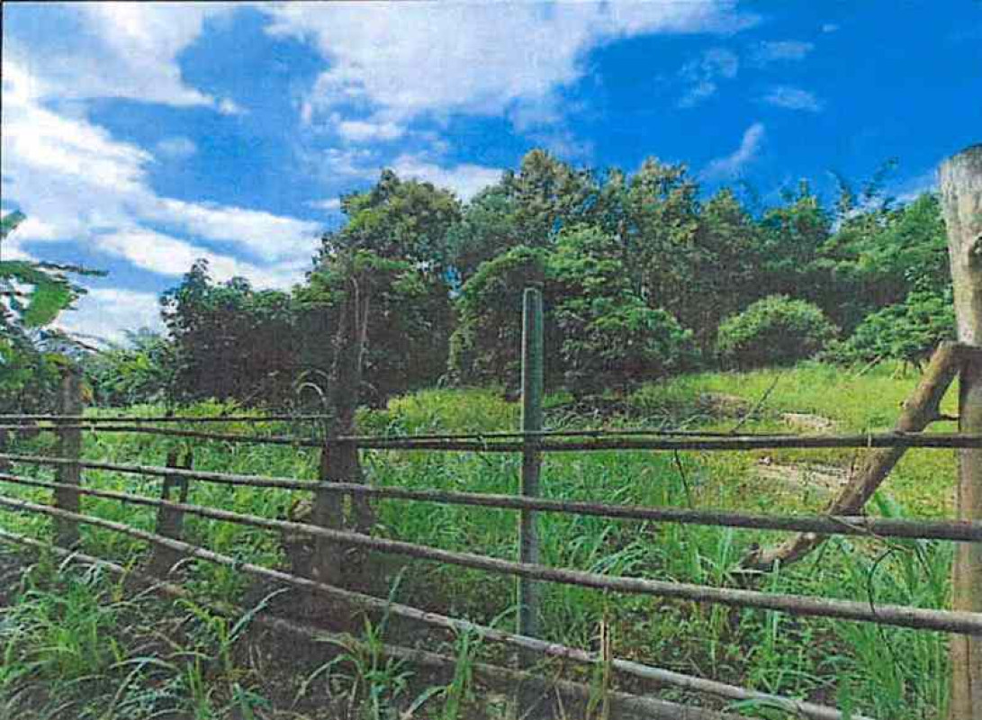 Residential land/lot Lampang Wang Nuea Wang Nuea 150300