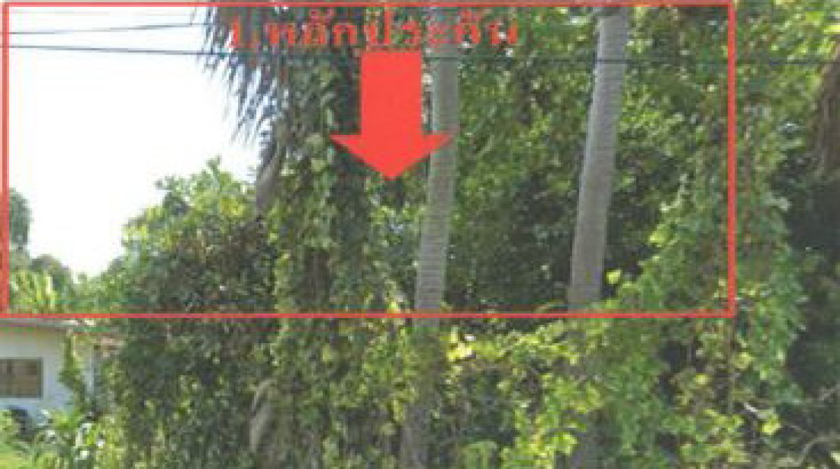 ที่ดินเปล่า นครราชสีมา จักราช จักราช 37740