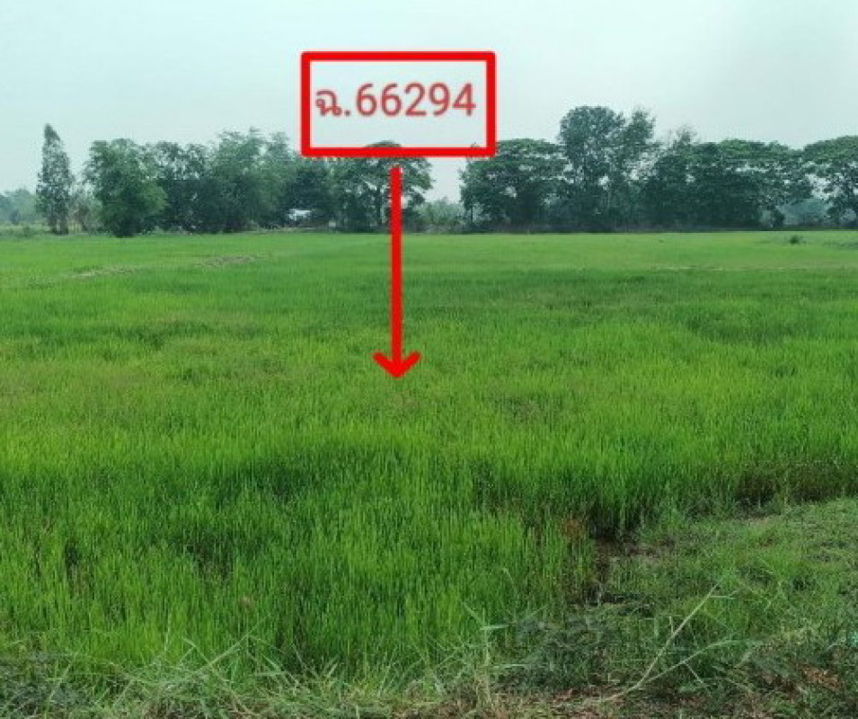 ที่ดินเปล่า ขอนแก่น น้ำพอง วังชัย 330400