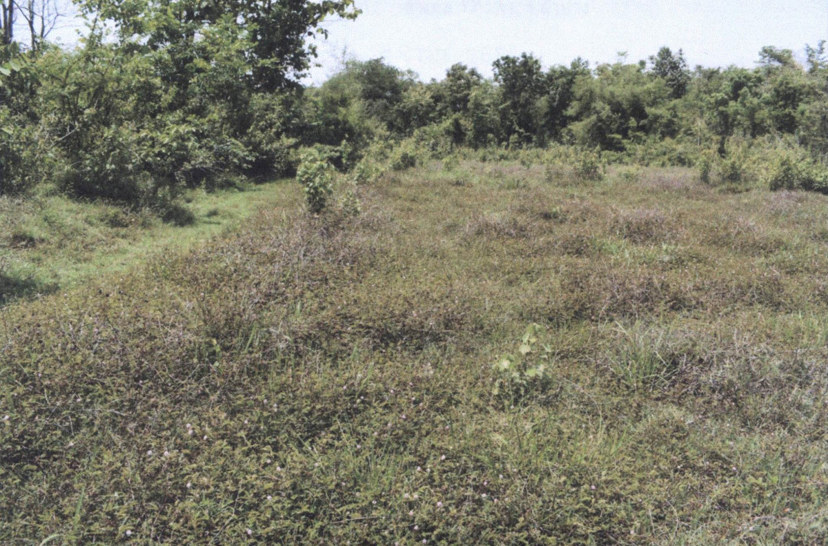 Residential land/lot Lampang Ko Kha Tha Pha 140400