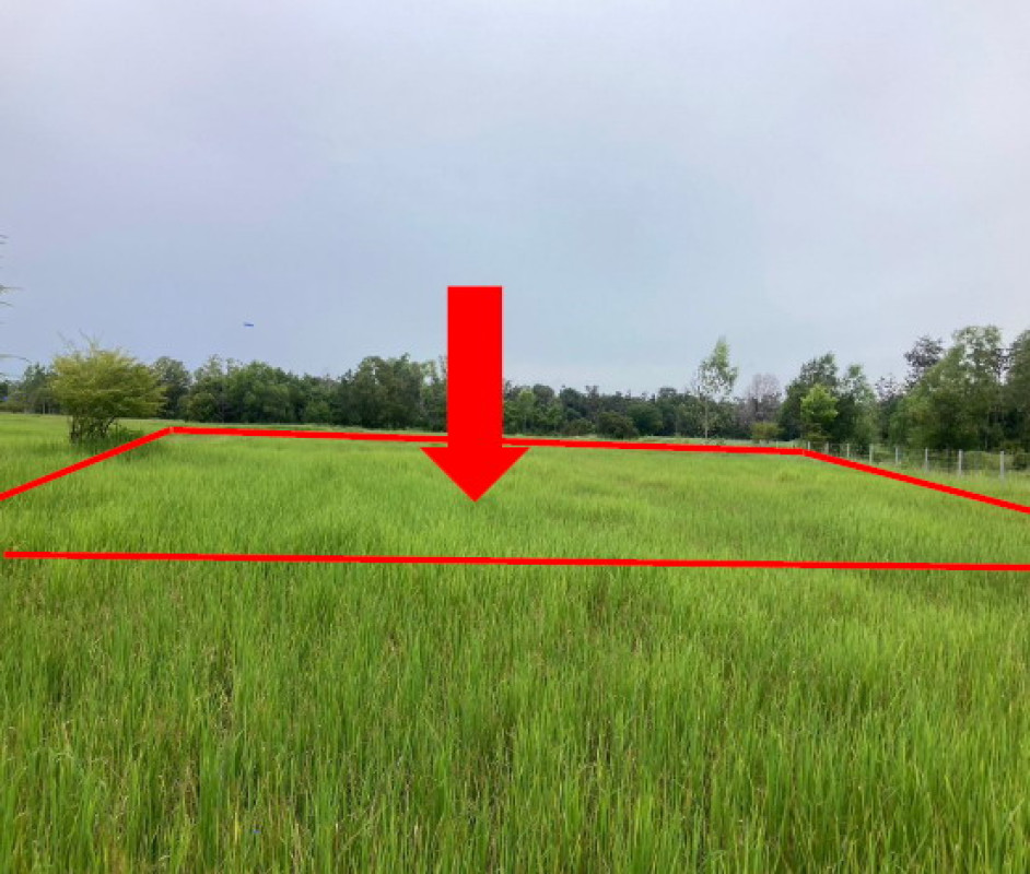 Residential land/lot Ubon Ratchathani Mueang Ubon Ratchathani Nong Khon 37500