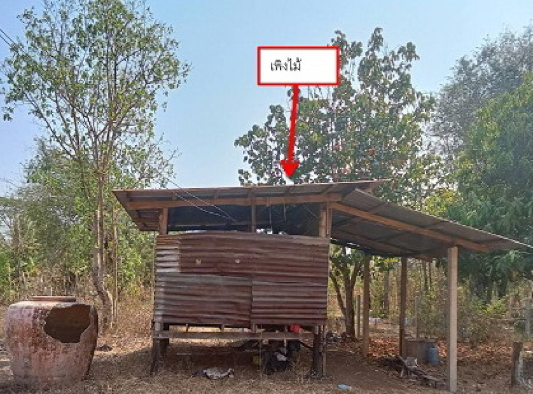 Single house Sakon Nakhon Phon Na Kaeo Na Kaeo 341670