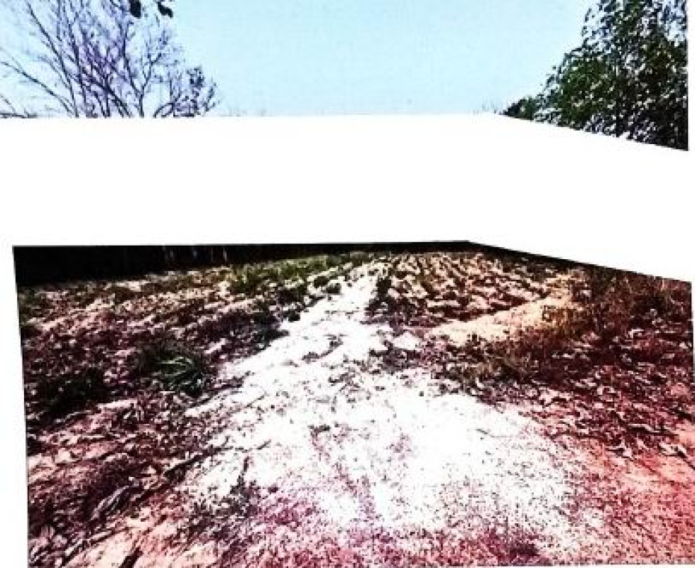 ที่ดินเปล่า นครพนม ธาตุพนม อุ่มเหม้า 172200