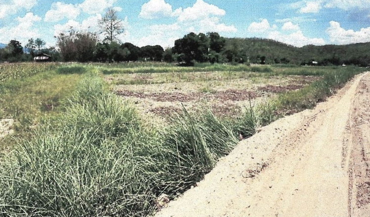 Residential land/lot Mae Hong Son Mueang Mae Hong Son Pang Mu 167750