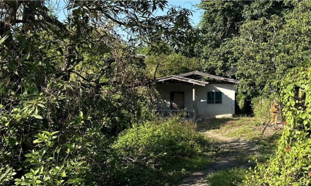 Single house Lamphun Ban Hong Ban Hong 531270