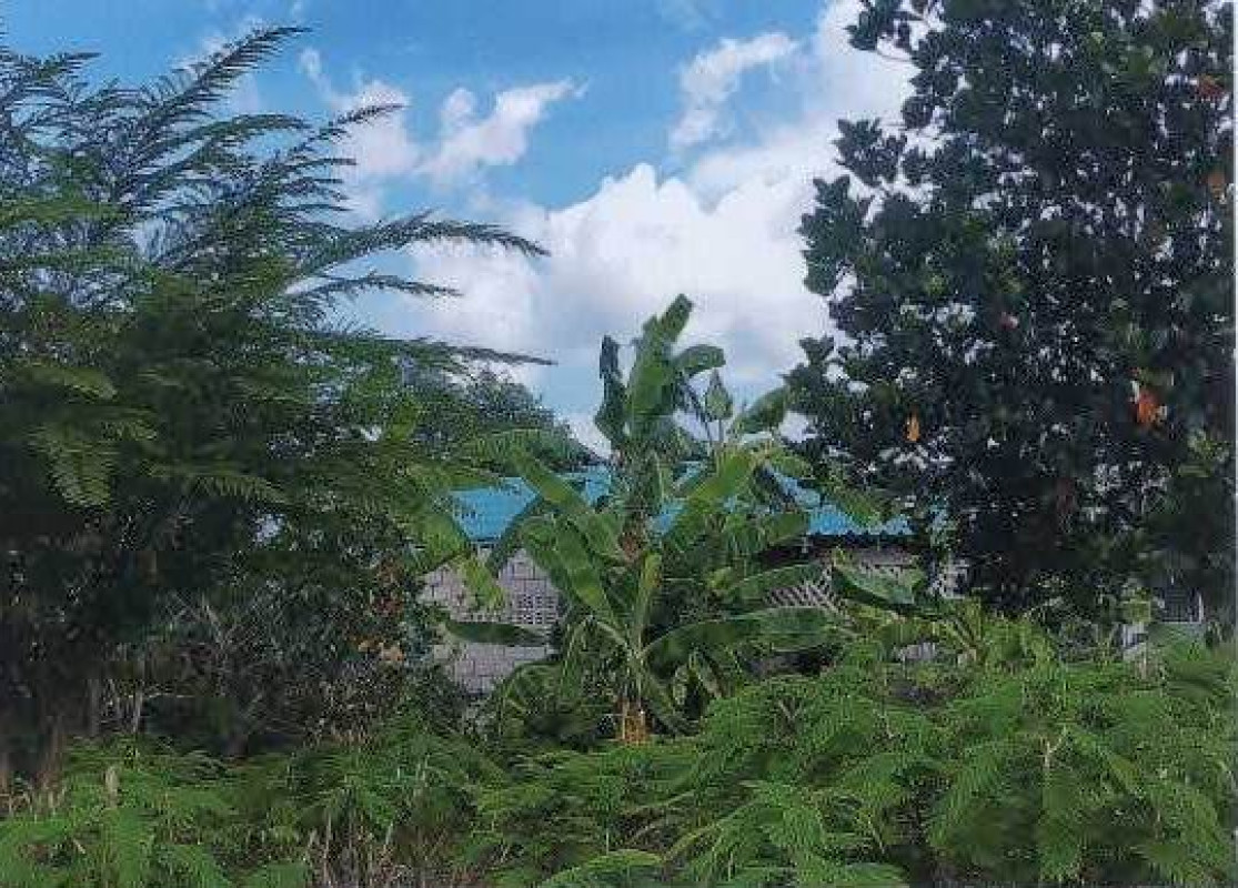 Single house Phetchaburi Tha Yang Tha Mai Ruak 409704