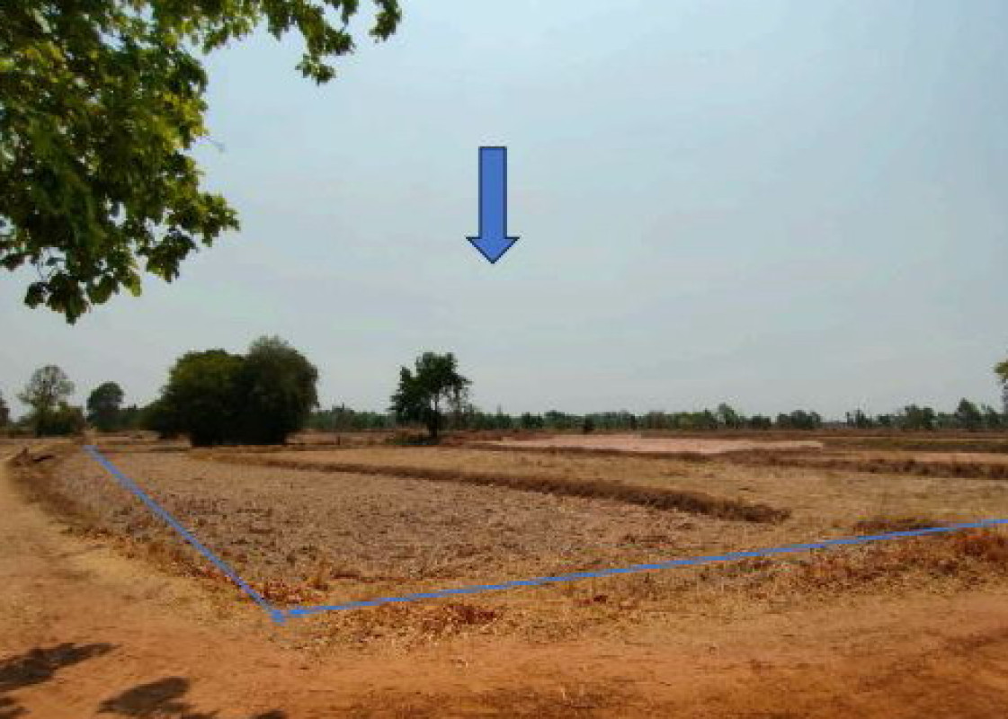 Residential land/lot Roi Et Pho Chai Chiang Mai 1699880