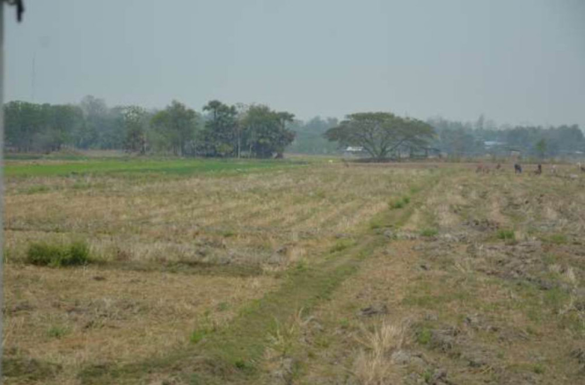 Residential land/lot Chiang Mai Mae Taeng Mae Ho Phra 190000