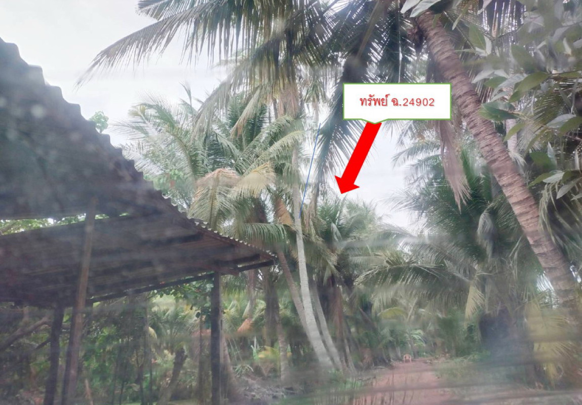ที่ดินเปล่า ราชบุรี ดำเนินสะดวก ดอนไผ่ 364500