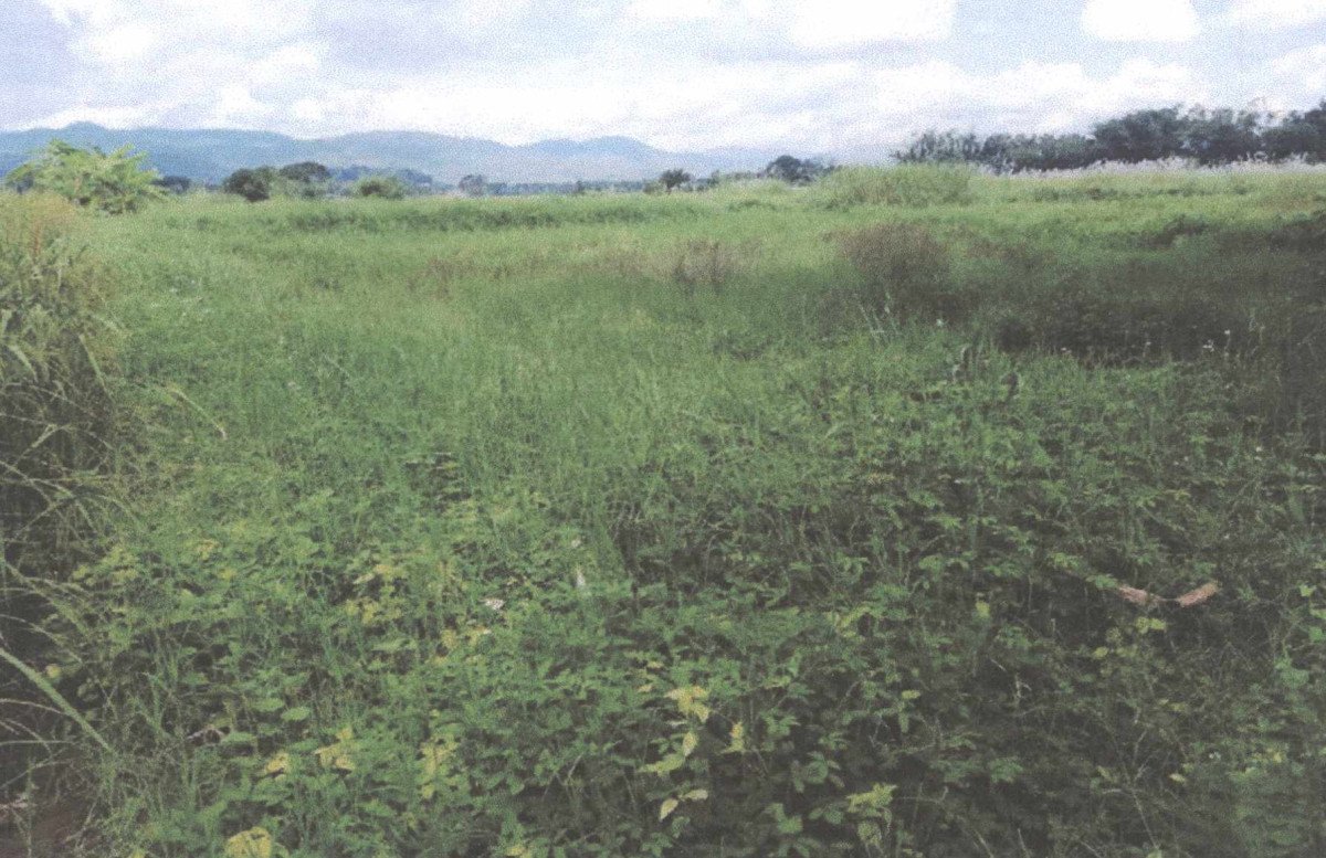 Residential land/lot Chiang Mai Mae Ai Mae Ai 1100100