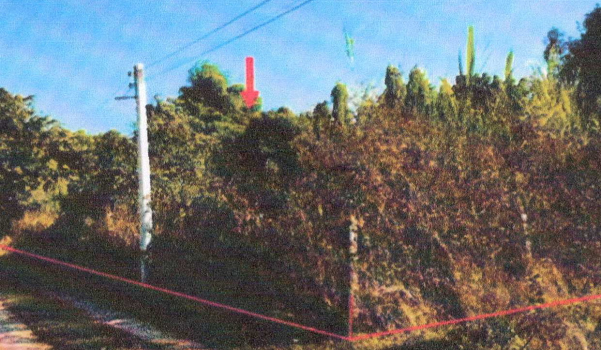 Residential land/lot Nan Mueang Nan Chaiya Sathan 1769900