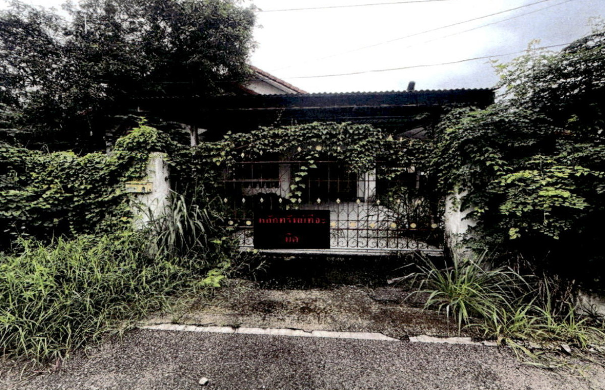 ทาวน์เฮ้าส์ ลำปาง เมืองลำปาง ต้นธงชัย 1549625