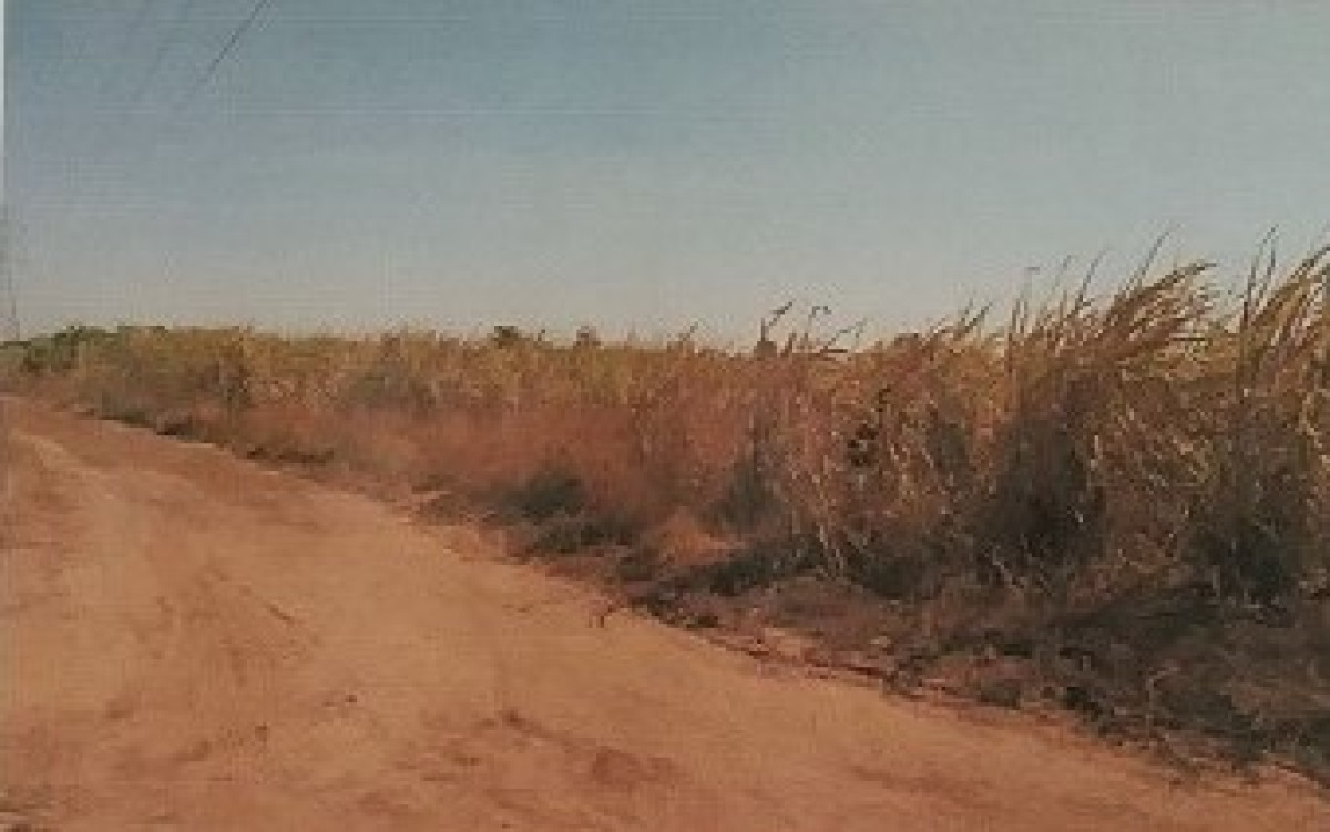 Residential land/lot Sakon Nakhon Phon Na Kaeo Na Kaeo 559200
