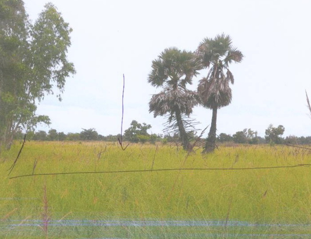Residential land/lot Ubon Ratchathani Mueang Ubon Ratchathani Chaeramae 280000