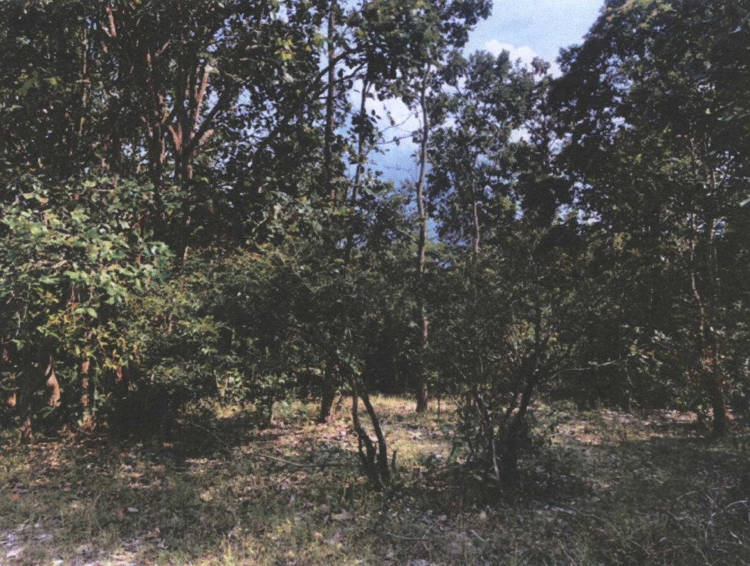 Residential land/lot Nakhon Phanom Tha Uthen Chai Buri 19800