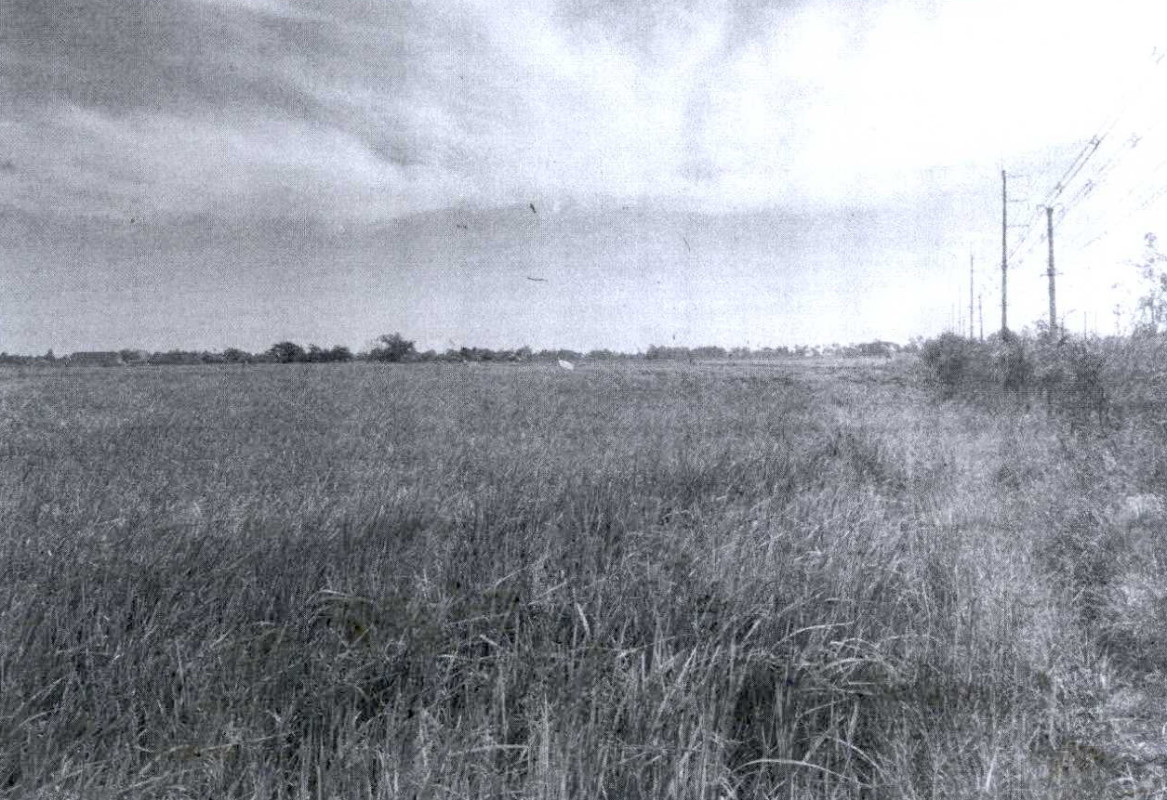 ที่ดินเปล่า เพชรบุรี เมืองเพชรบุรี หาดเจ้าสำราญ 2632800