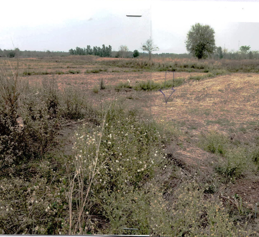 Residential land/lot Phitsanulok Nakhon Thai Noen Phoem 81520