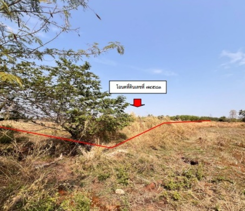 Residential land/lot Kalasin Mueang Kalasin Khamin 564760