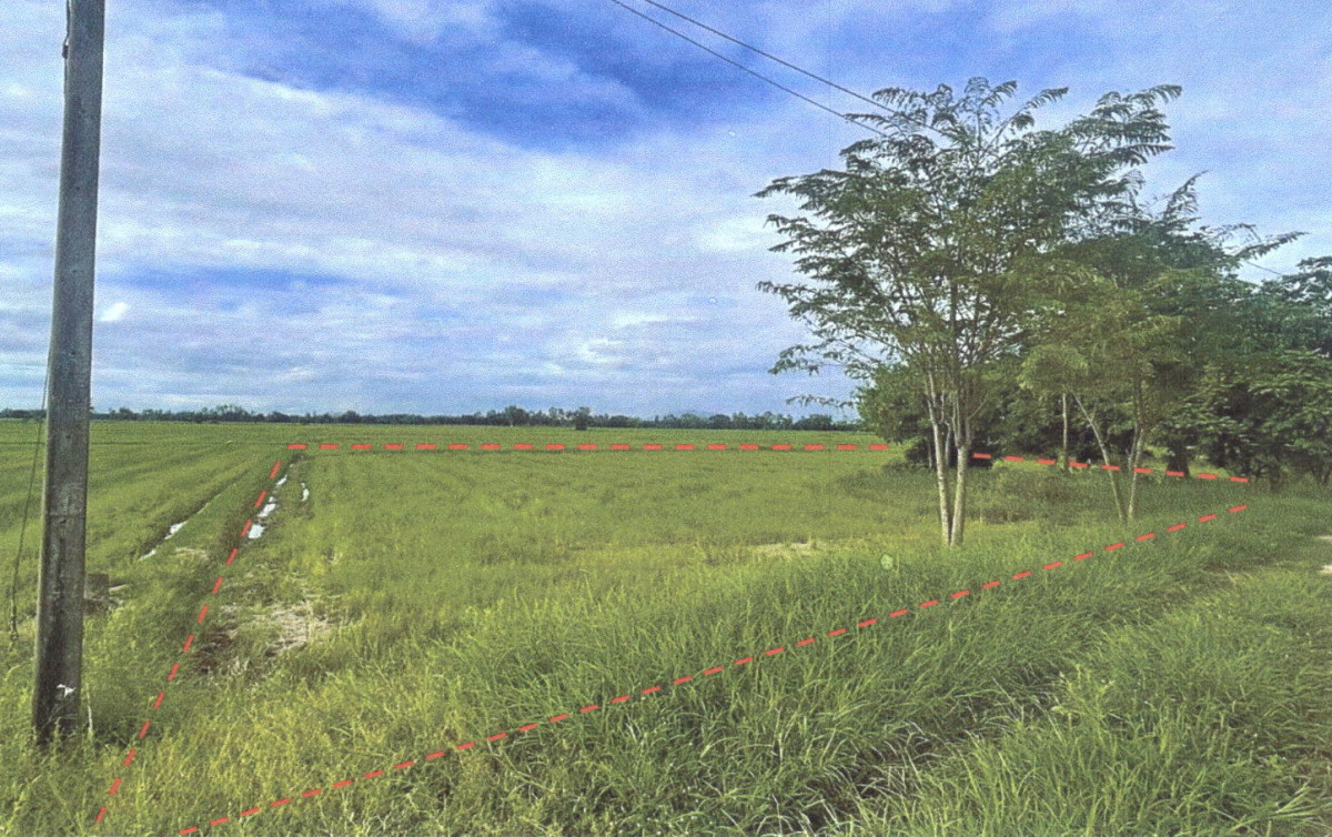 ที่ดินเปล่า อุตรดิตถ์ พิชัย บ้านหม้อ 737400
