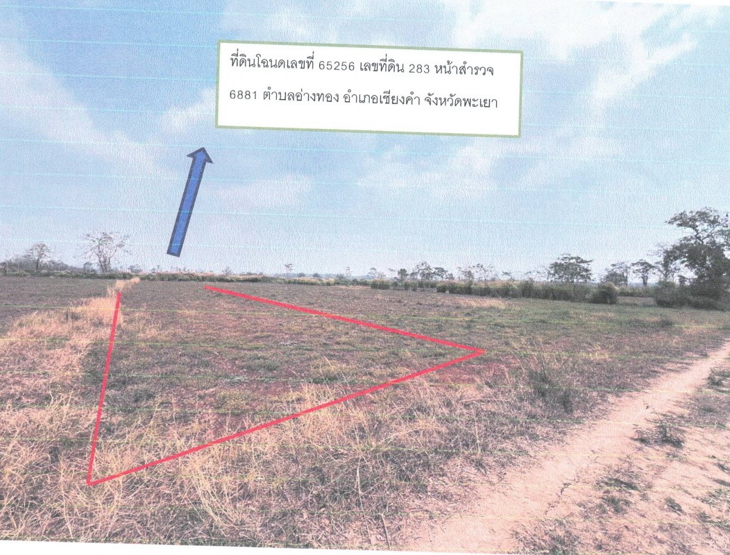 Residential land/lot Phayao Chiang Kham Ang Thong 280000