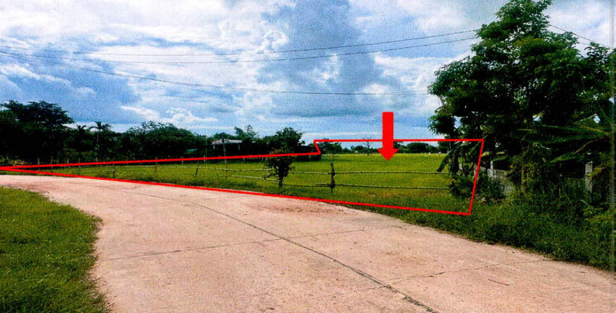 Residential land/lot Si Sa Ket Rasi Salai Sang Pi 189112