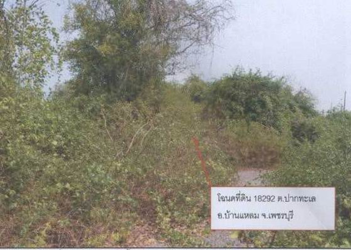 Residential land/lot Phetchaburi Ban Laem Pak Thale 110000