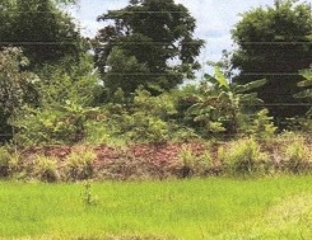 Residential land/lot Sakon Nakhon Akat Amnuai Phon Phaeng 141000