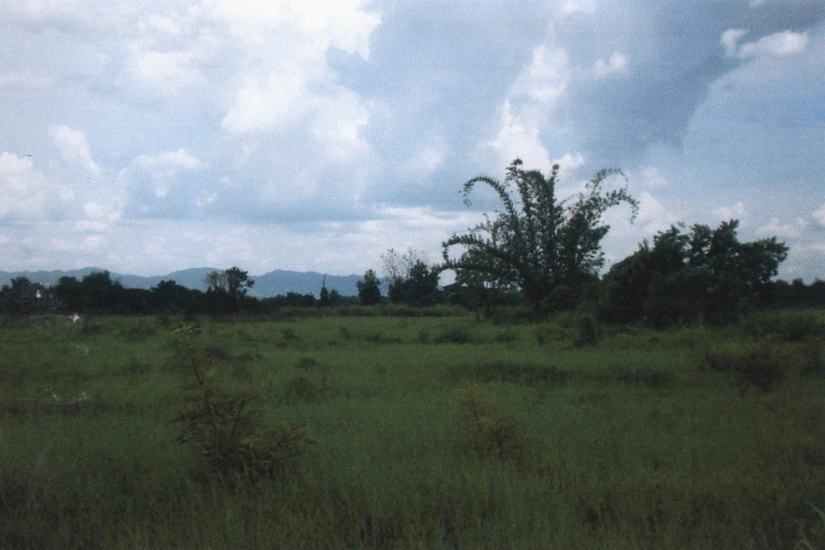 Residential land/lot Chiang Mai Doi Tao Doi Tao 82000