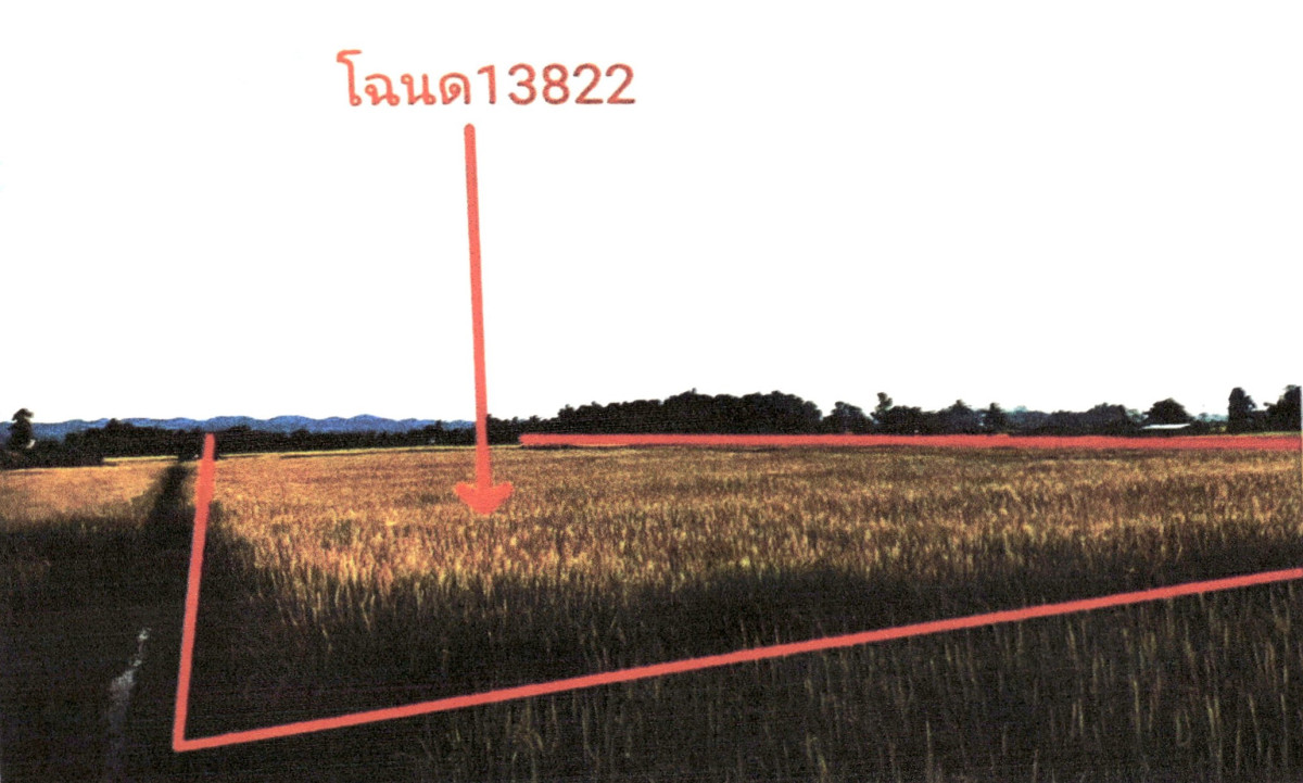 ที่ดินเปล่า น่าน ปัว ไชยวัฒนา 242190