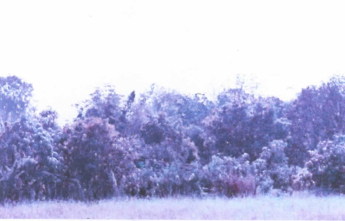 Residential land/lot Nakhon Nayok Ban Na Phikun Ok 40000