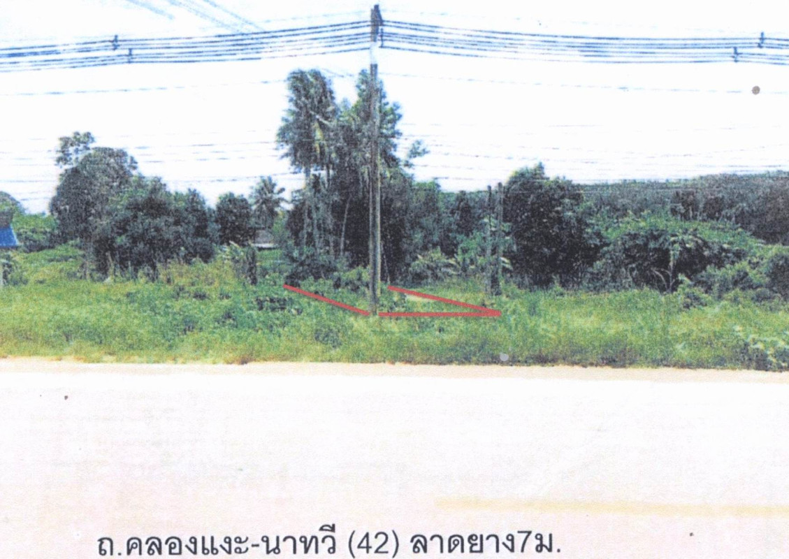 Residential land/lot Songkhla Sadao Phang La 369000