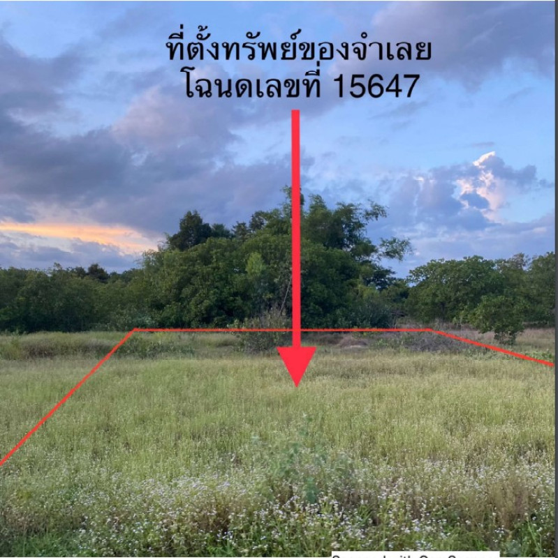 Residential land/lot Ubon Ratchathani Lao Suea Kok Nong Bok 46463