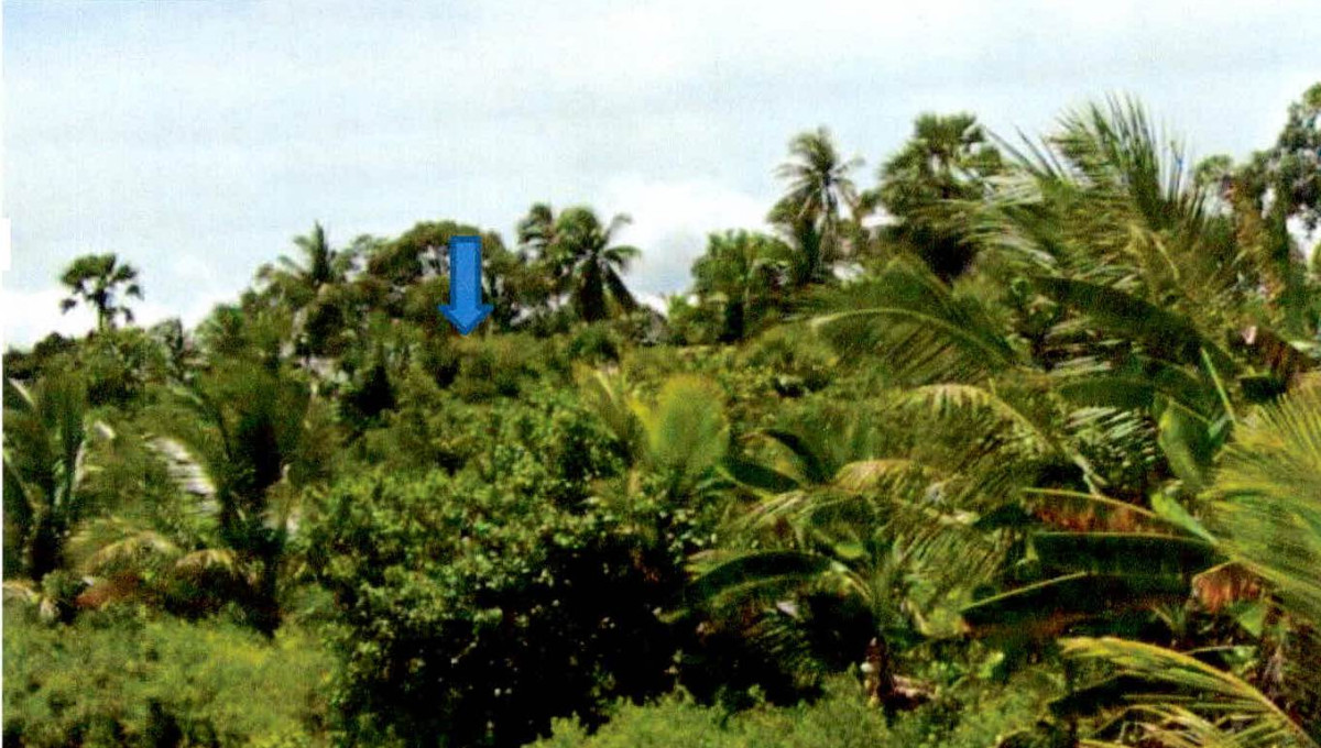 Residential land/lot Pattani Yaring Ya Mu 44800