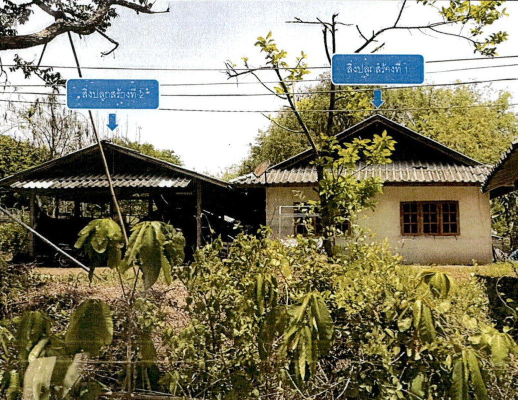 บ้านเดี่ยว ลำปาง เสริมงาม ทุ่งงาม 552664