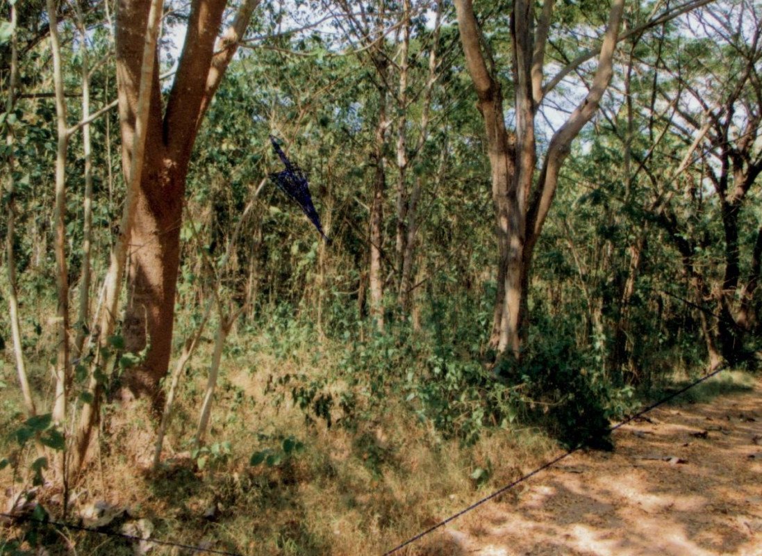 Residential land/lot Lampang Mae Tha Pa Tan 76750