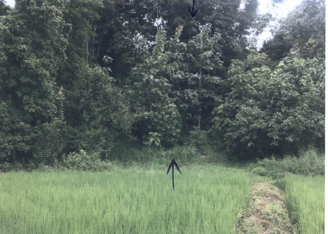 Residential land/lot Lampang Chae Hom Ban Sa 87000